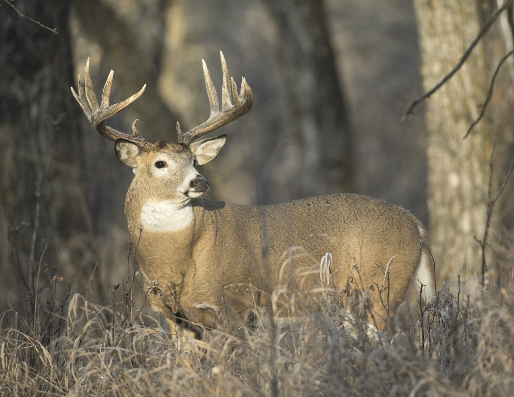 Triumph® Calendars Great Lakes Sportsman Calendar