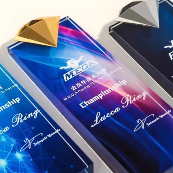 Personalized Crystal Diamond Trophy 4