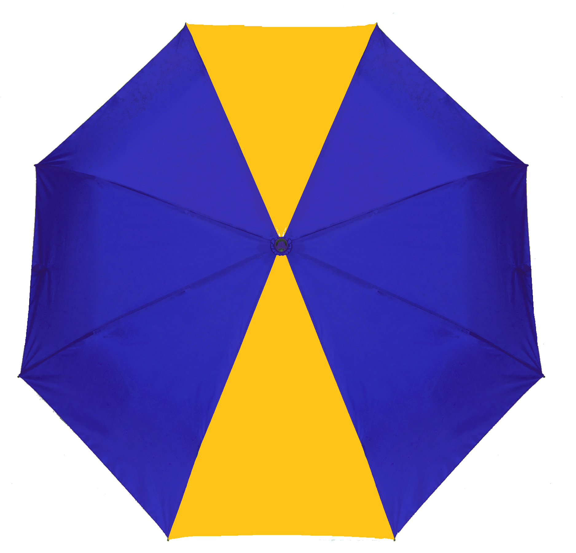 The Spirit (TM) Umbrella 38