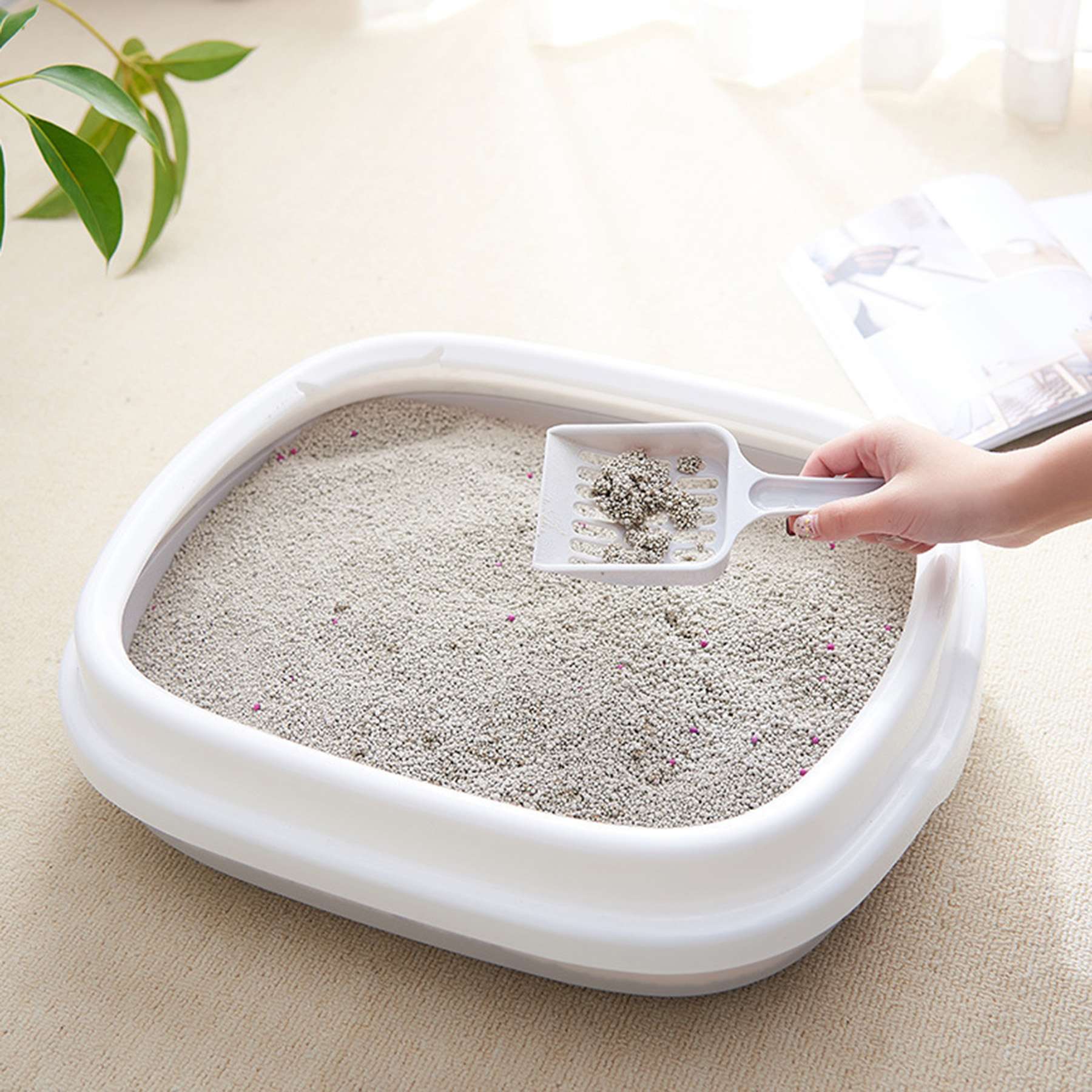 Pet Cat Litter Box 4