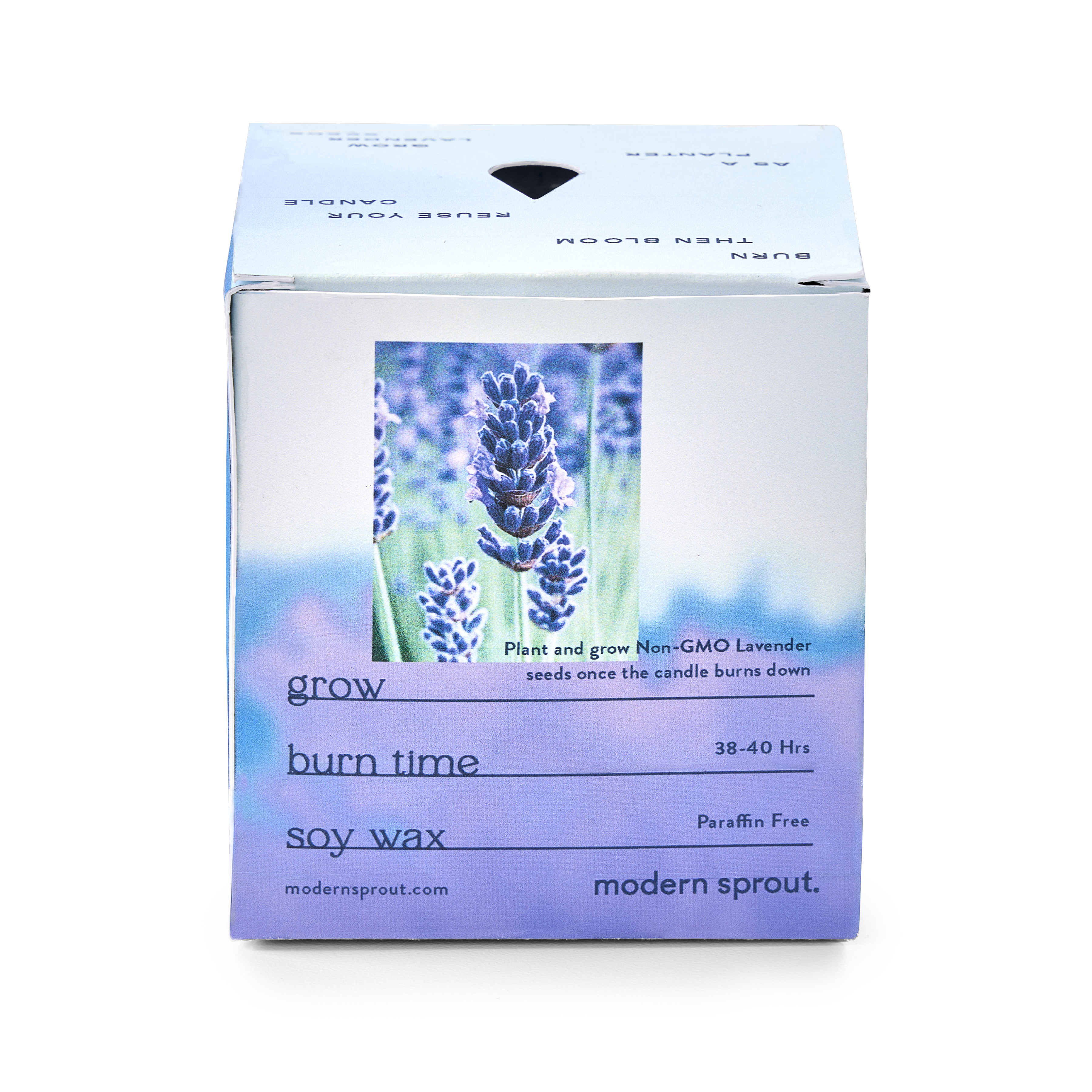Modern Sprout® Garden Vibes Candle/Planter 22