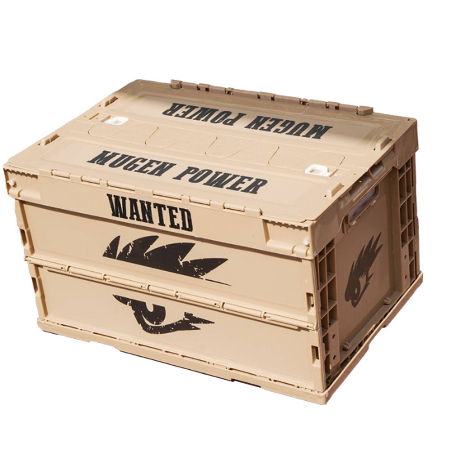 Custom Folding Storage Box 5
