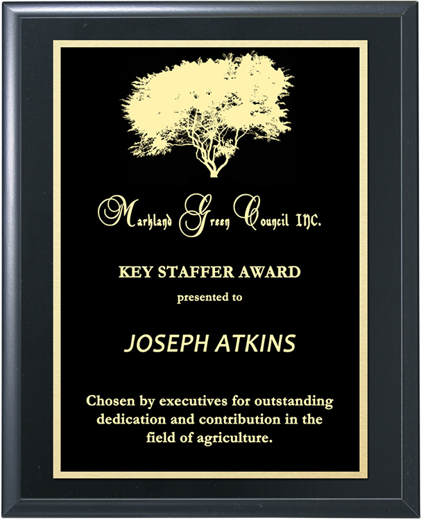 Double Plate Lasered Plaque-Black