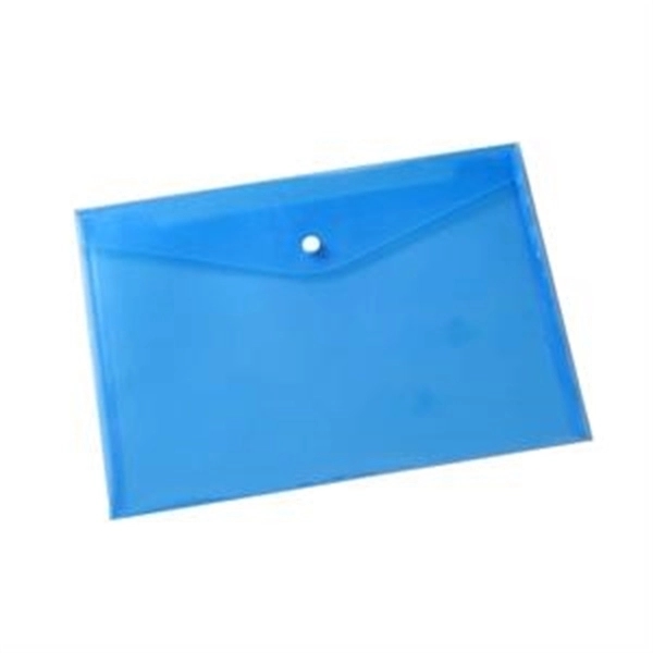 Snap Transparent Document Bags 2