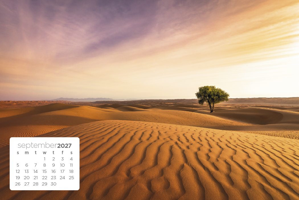 Triumph® Calendars Simplicity Large Desk Calendar 29