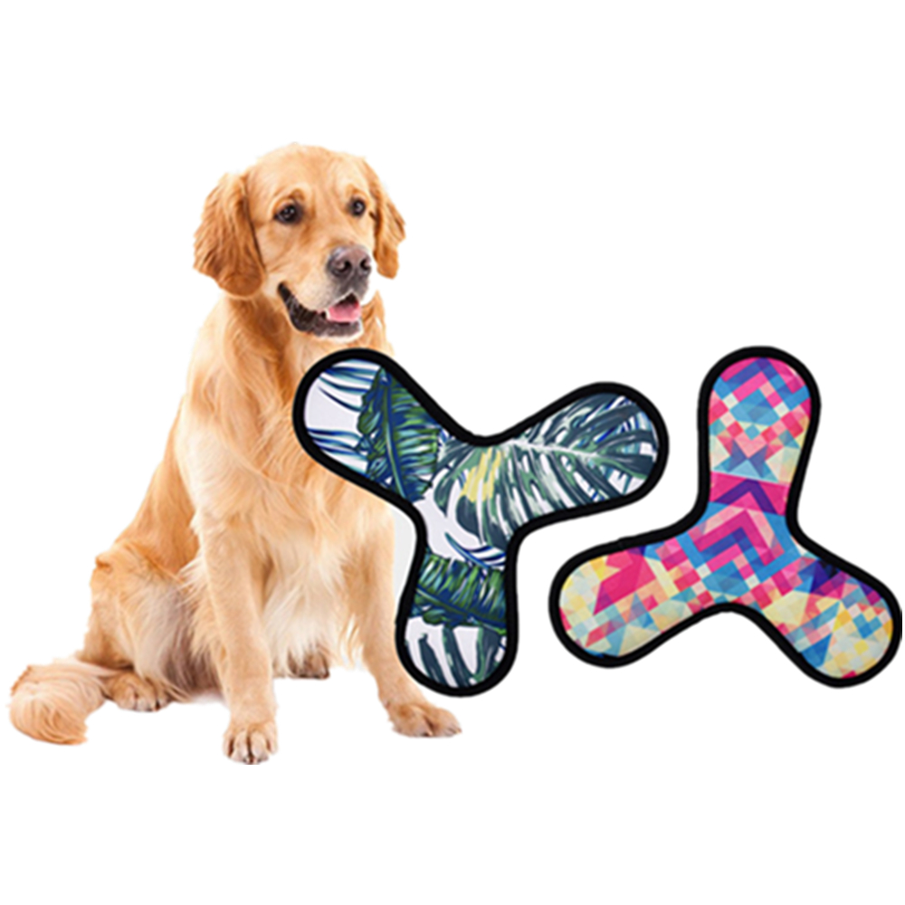 Neoprene Dog Playing Disc 3
