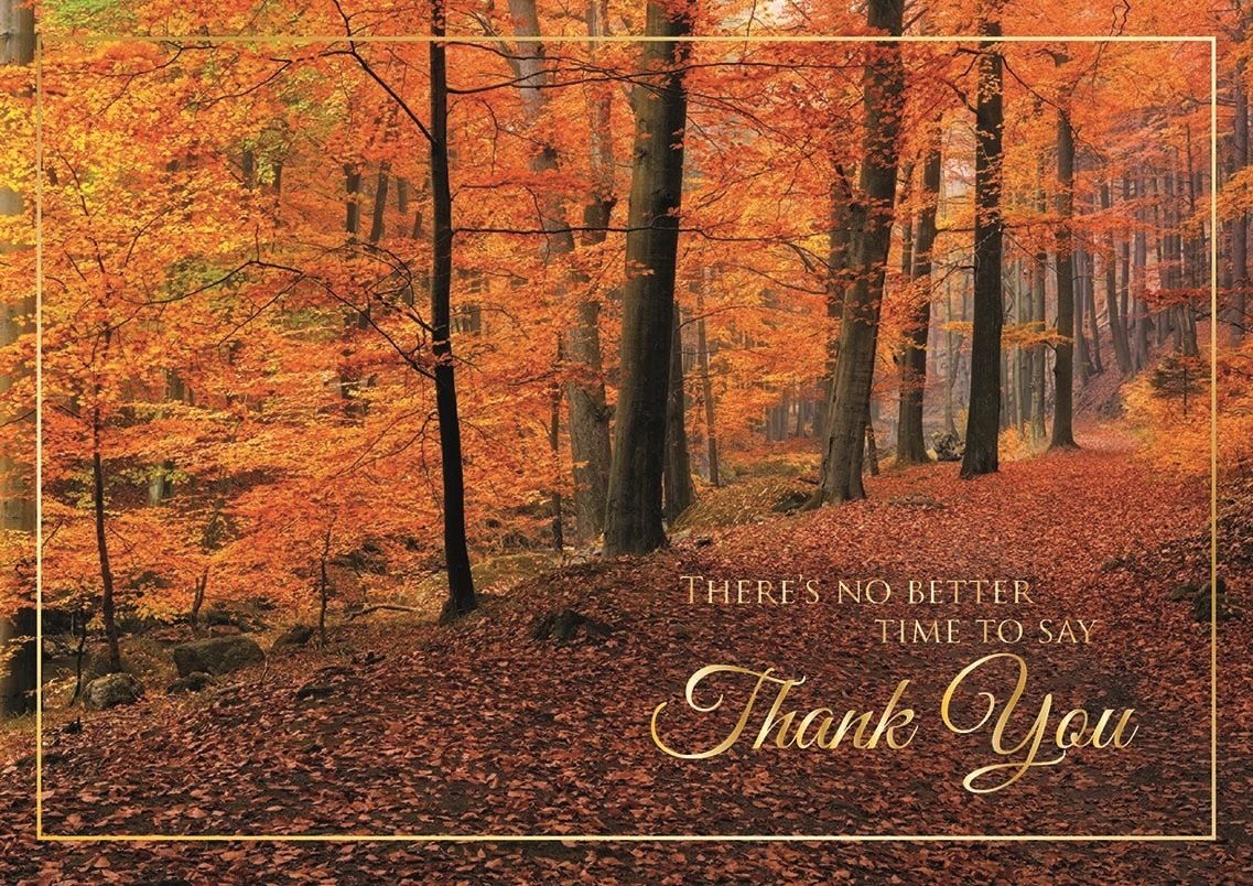 Woodland Gratitude Thanksgiving Cards 1