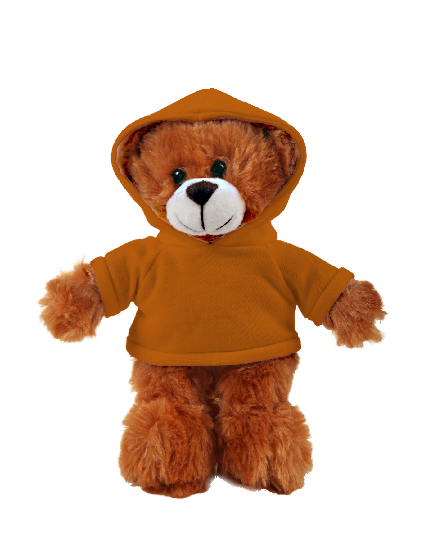soft plush Mocha Bear with hoodie 19
