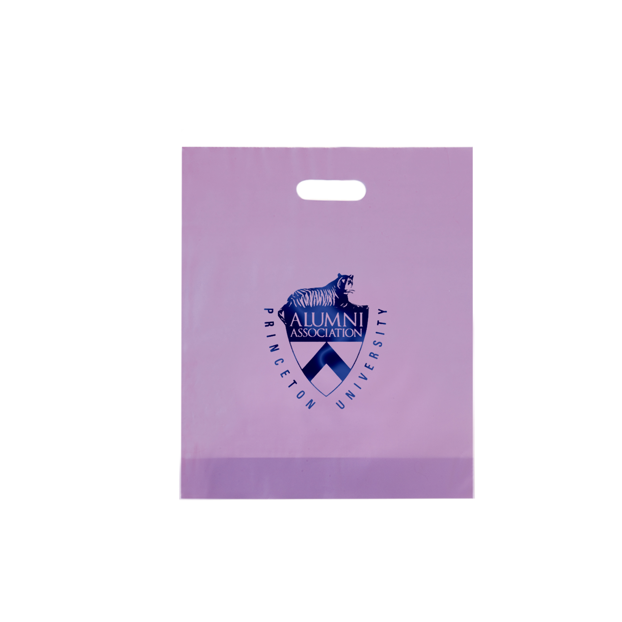 Non Reinforced HDPE Frosted Die Cut Bag 16