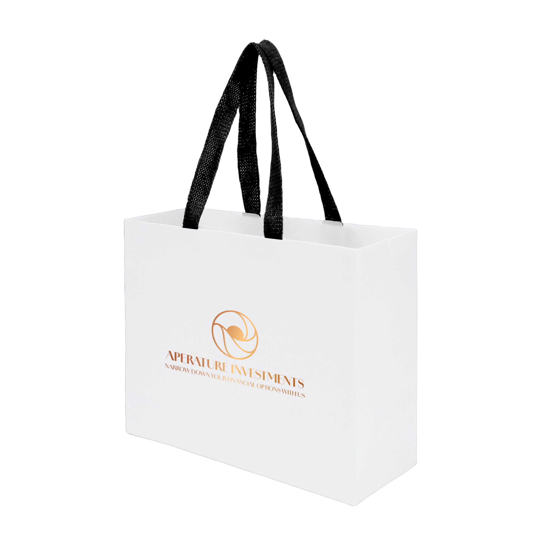 Sugarcane Paper Bag with Embedded Web Style Paper Handles - 6