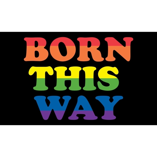 Born This Way Stick Flag 1