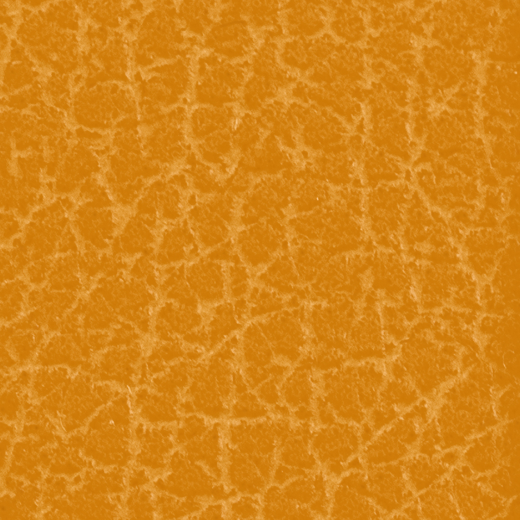 5" Faux Leather Patch 1