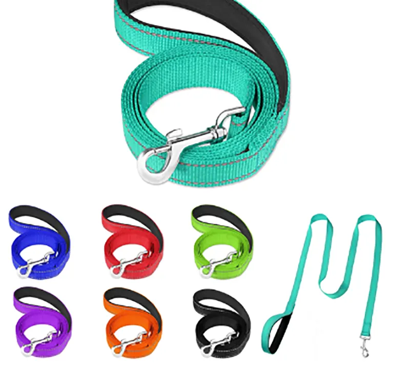 Dog Leash 2