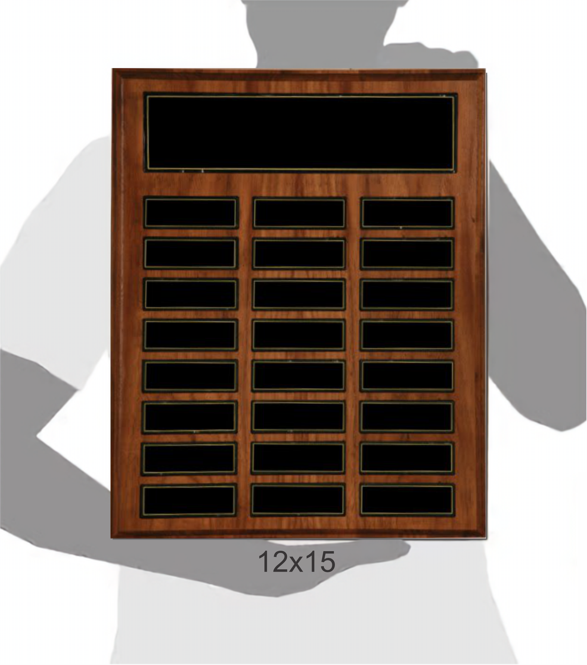 24 Plate Recognition Pocket Perpetual Plaque (12"x15") 4