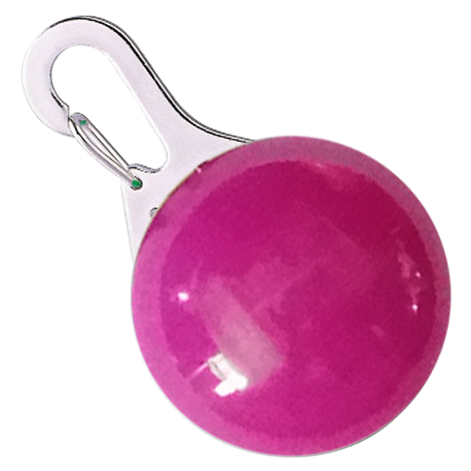 LED Clip On Pet Safety Light 5