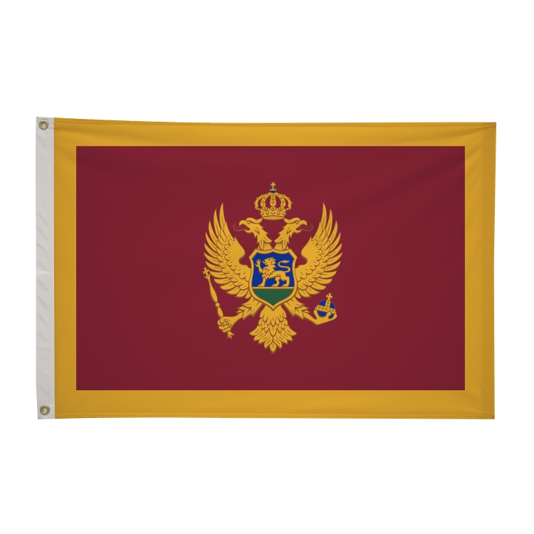 2' x 3'International Flag 92