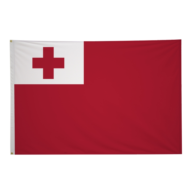 4' x 6' International Flags 198