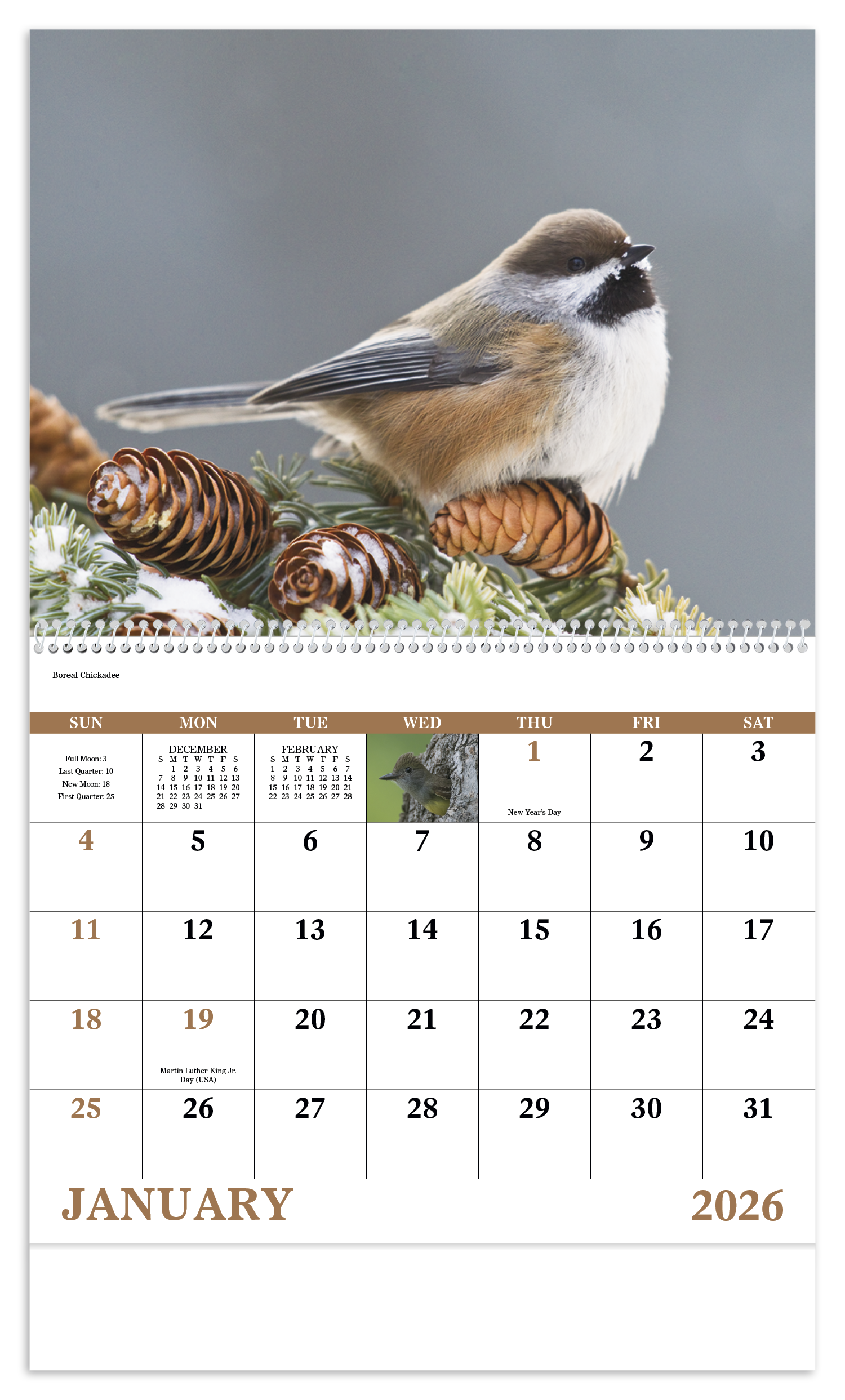 Good Value™ Birds of North America - Spiral Calendar 25