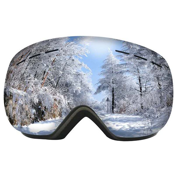 Ski Goggles 3
