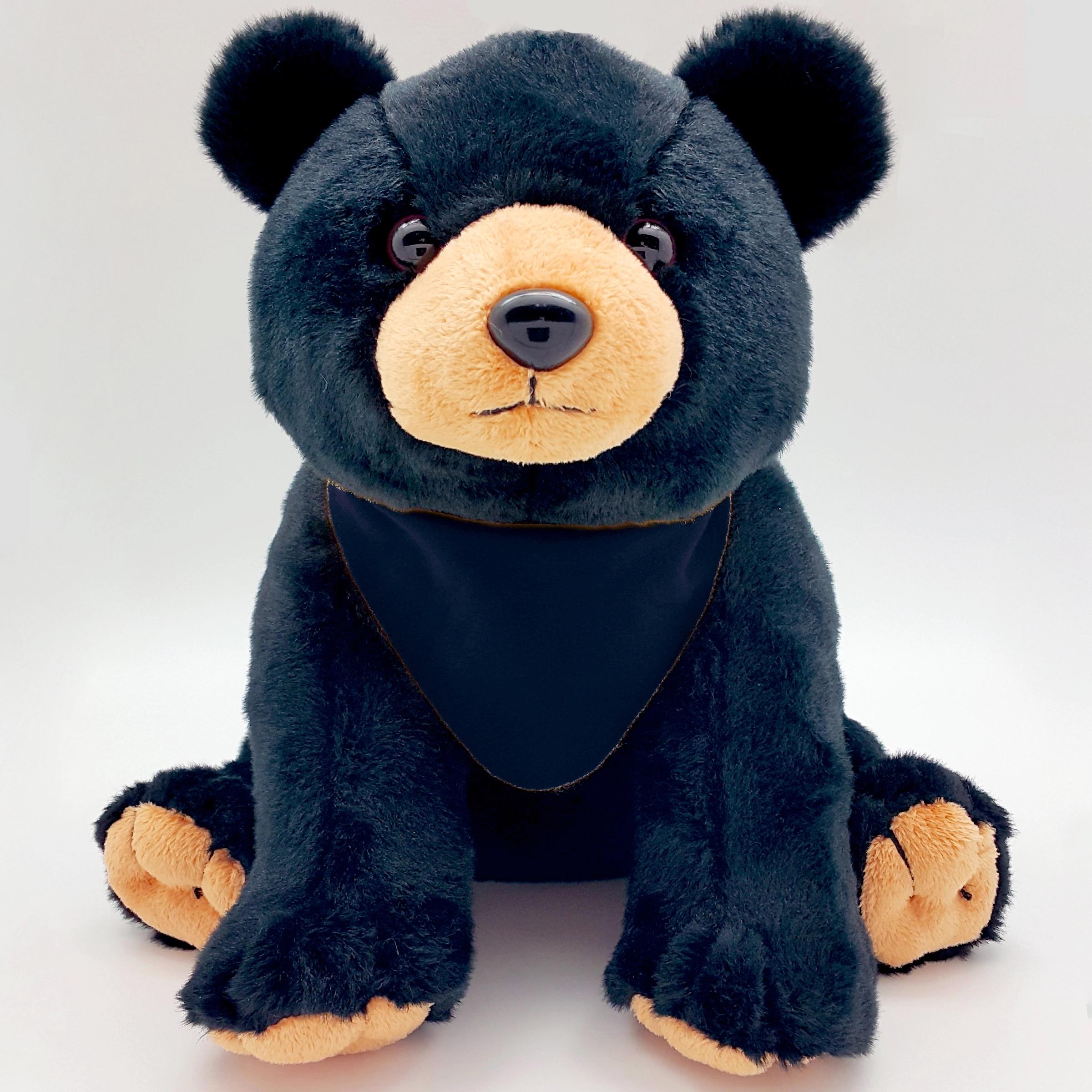 10" Black Bear 3