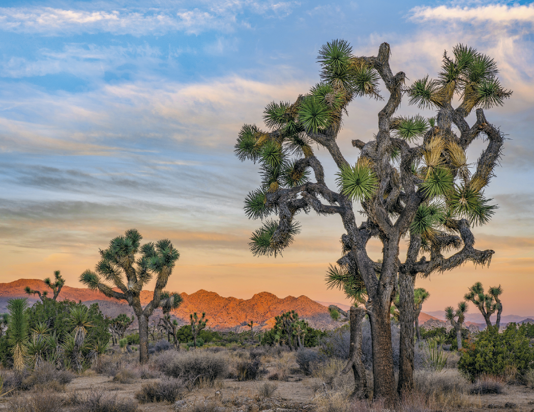 Triumph® Calendars Scenic Inspirations Calendar 3