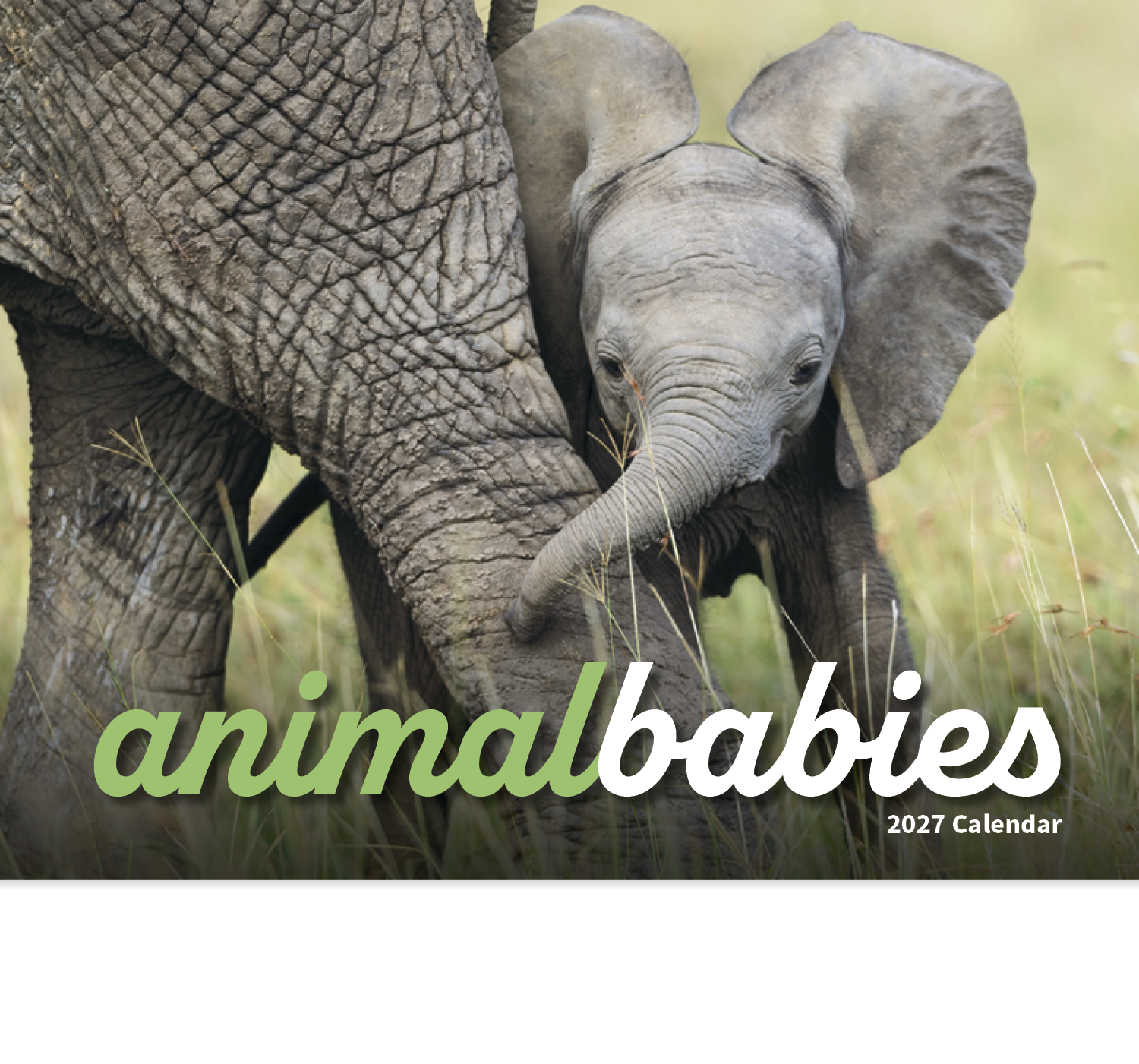 HotLine® Products Animal Babies Appointment Calendar - Stapled 55