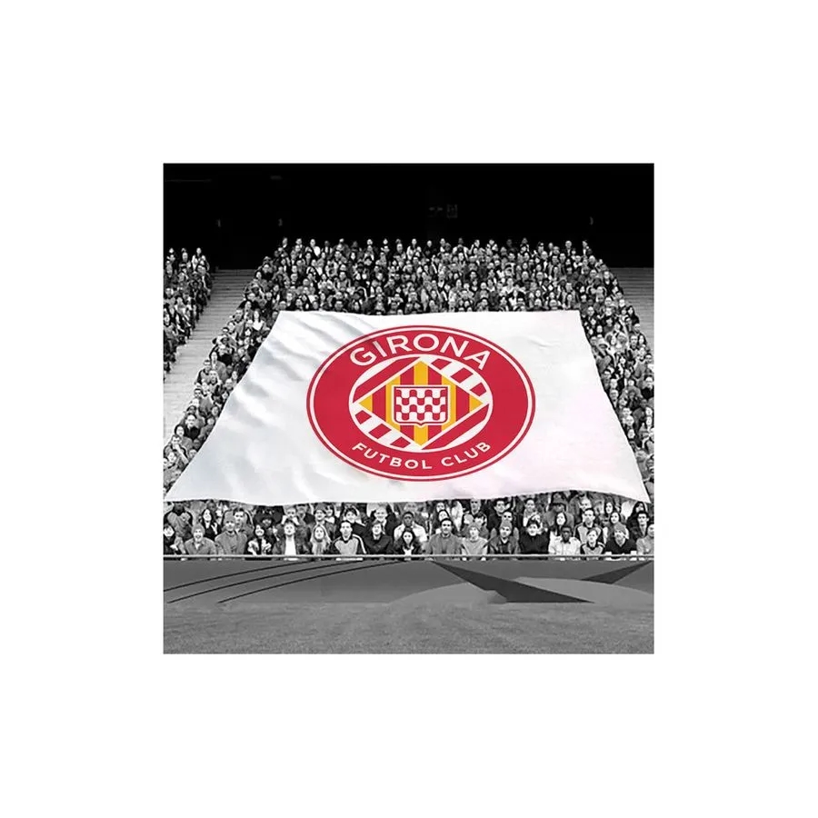 Crowd Flag 2