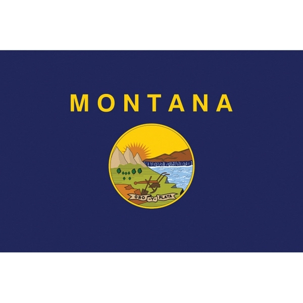 Montana Official Stick Flag 2