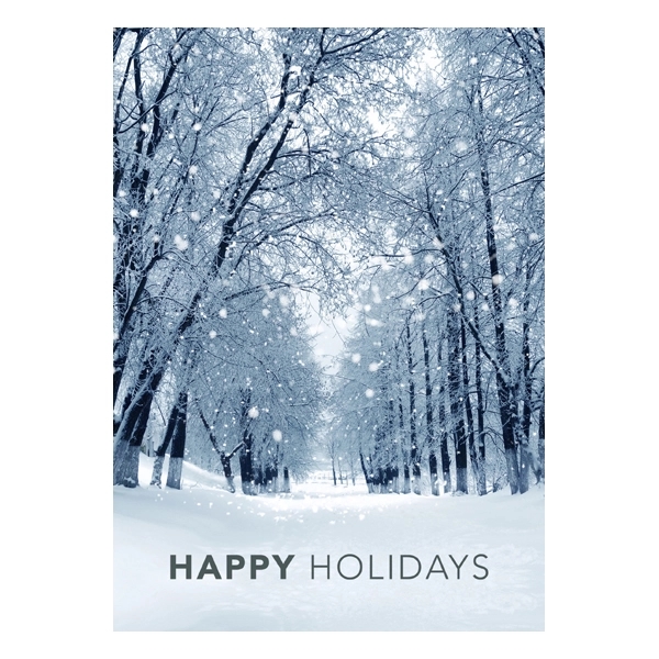 Snowy Winter Path Holiday Greeting Card 1