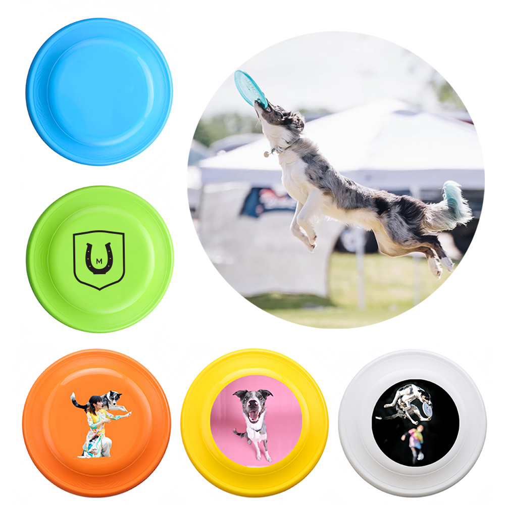 Frisbees For Large Dogs 3