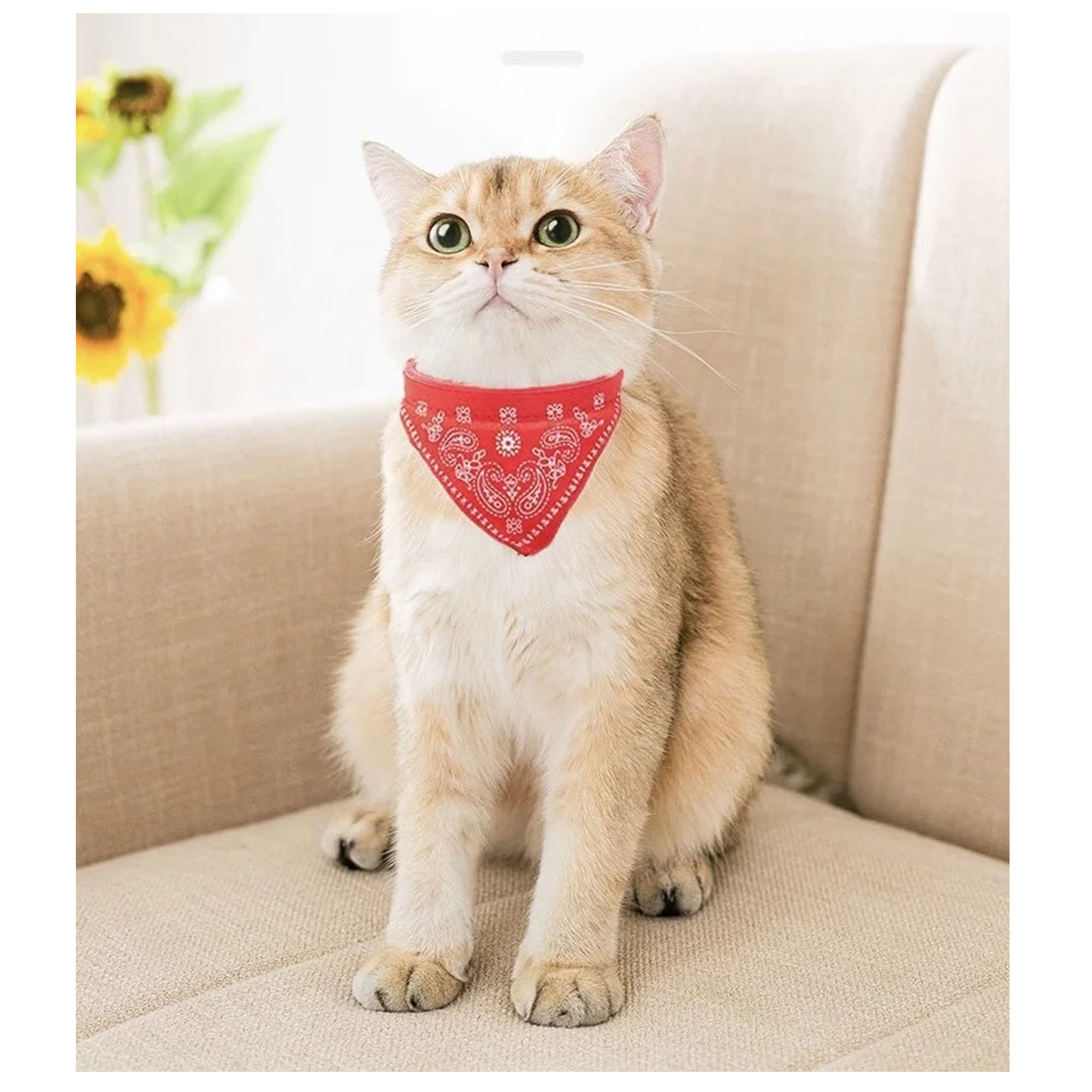 Pu Leather Comfort Meets Fashion With This Pet Bandana Collar 2