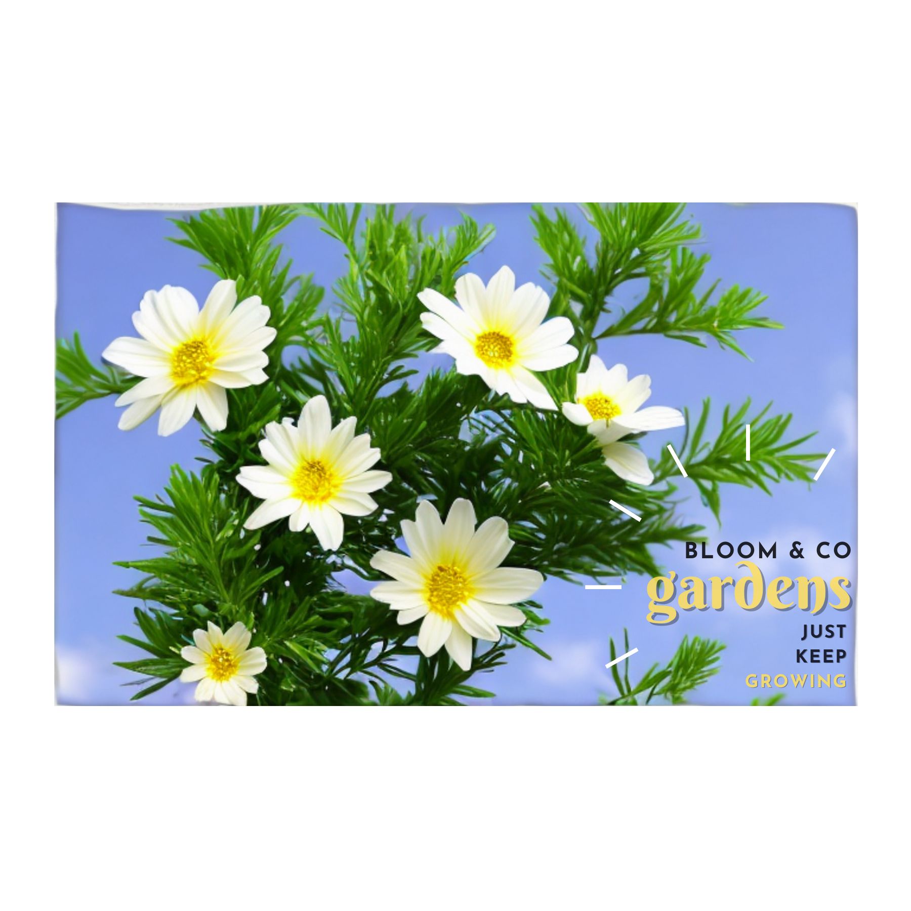 Rally Towel - Full Color Dye Sublimated 11"x18" 100% Poly, Terry Microfiber Towel, Serged 1