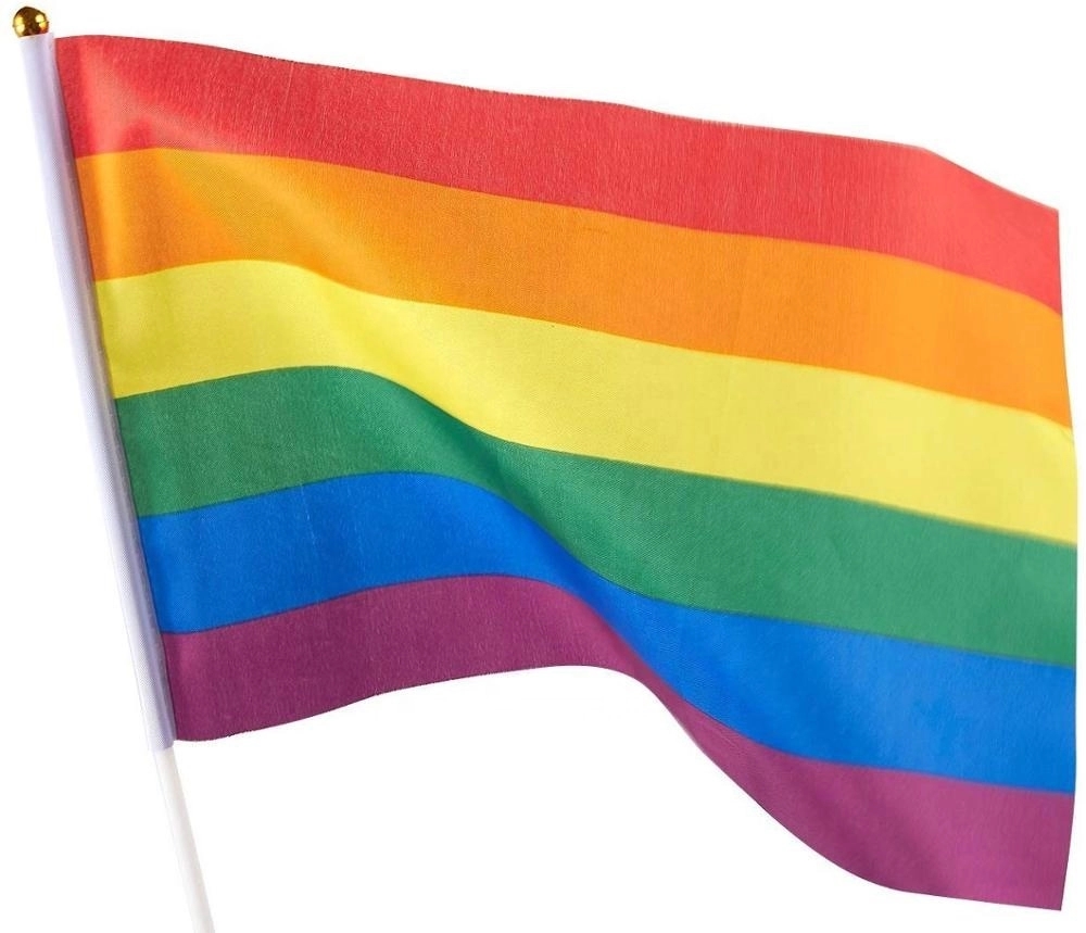 Small Rainbow Hand Flags 4
