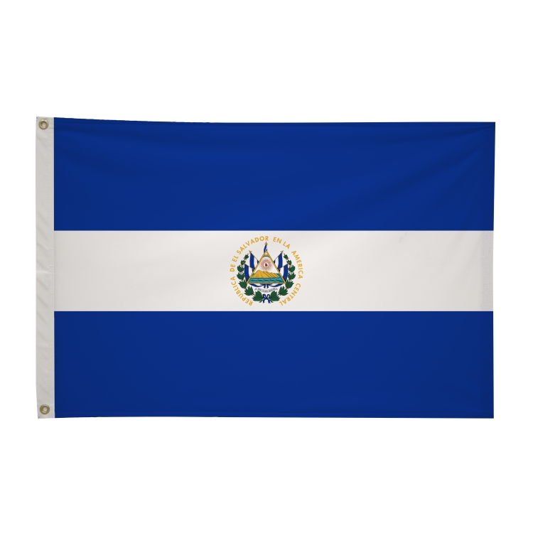 2' x 3'International Flag 285