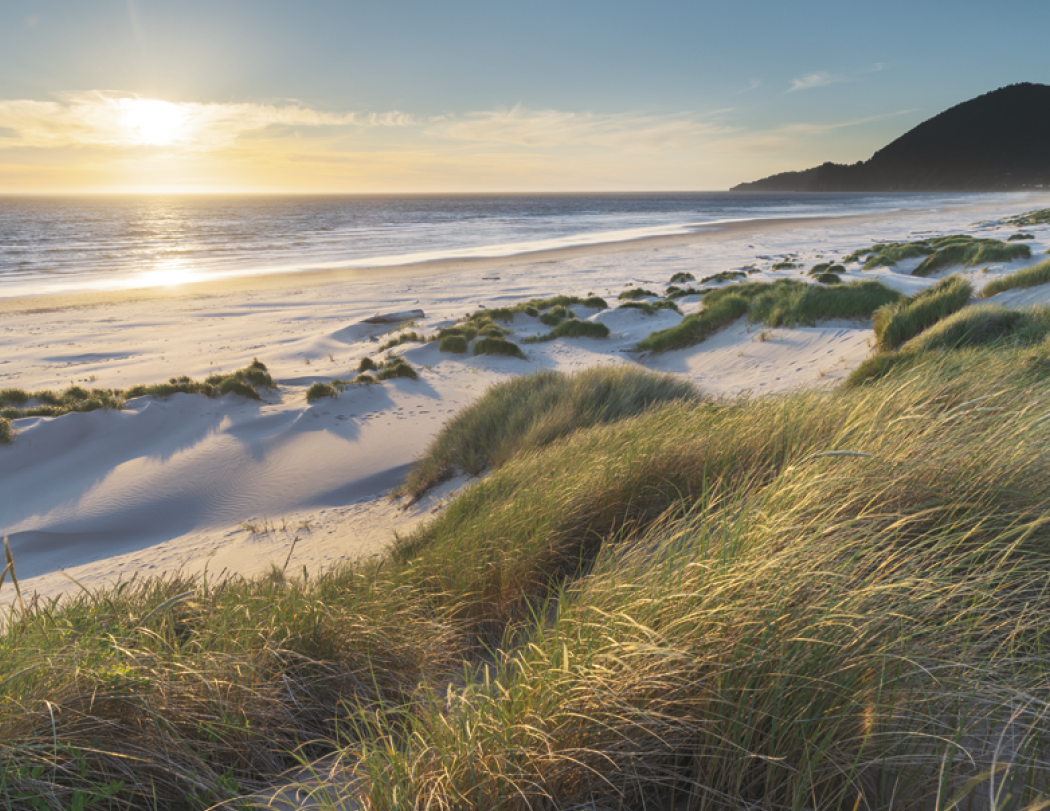 HotLine® Products Contemplations Appointment Calendar - Spiral 14