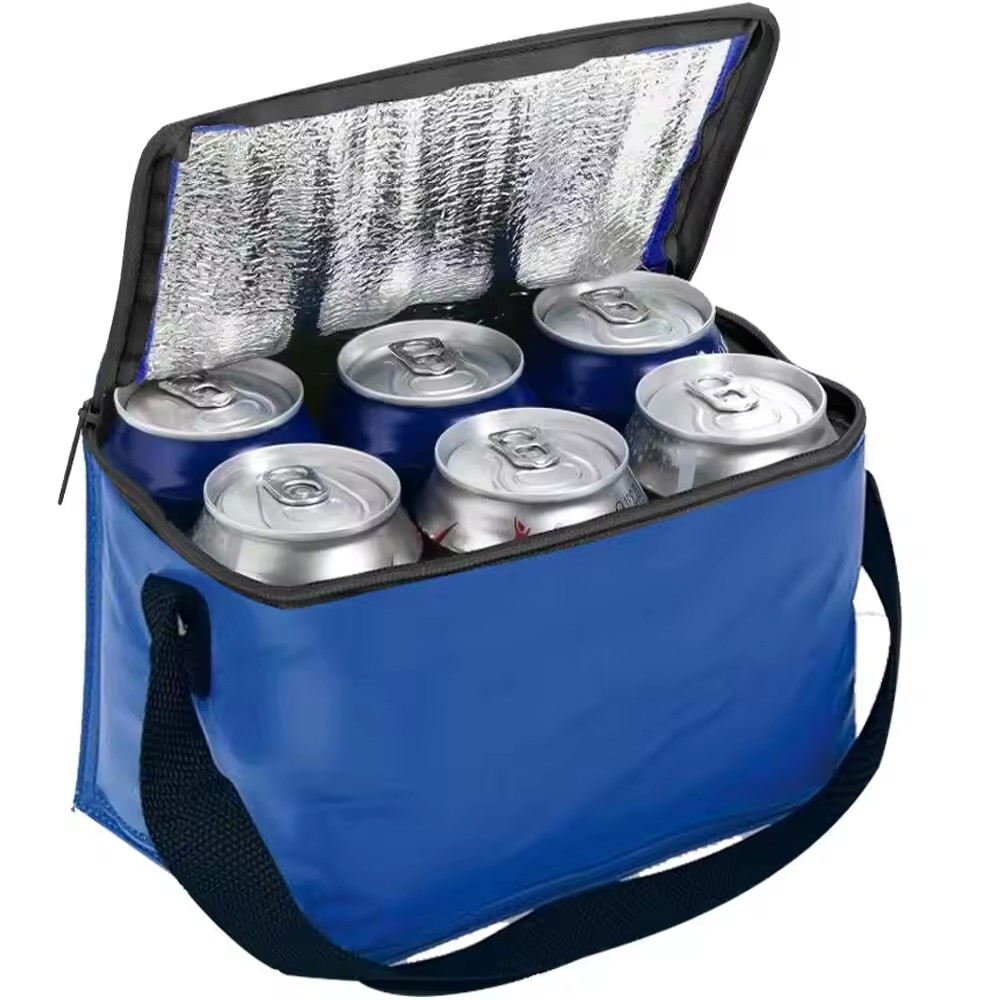 6 Packs Cooler Lunch Bags 2