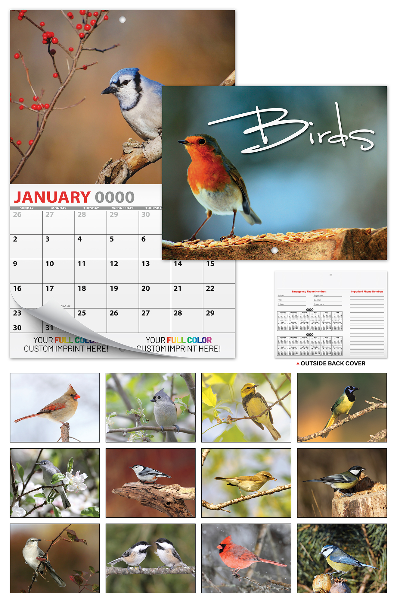 13 Month Custom Appointment Wall Calendar (High Gloss UV-Coated Cover)- BIRDS 2