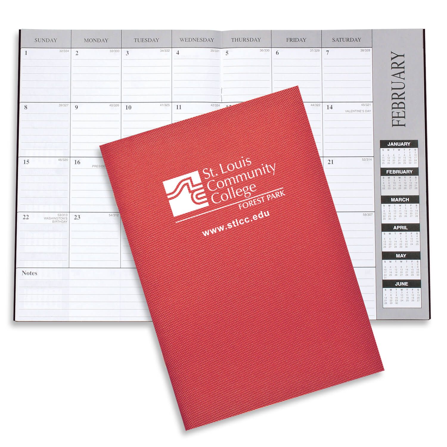 Academic Monthly Desk Planner - Leatherette 9