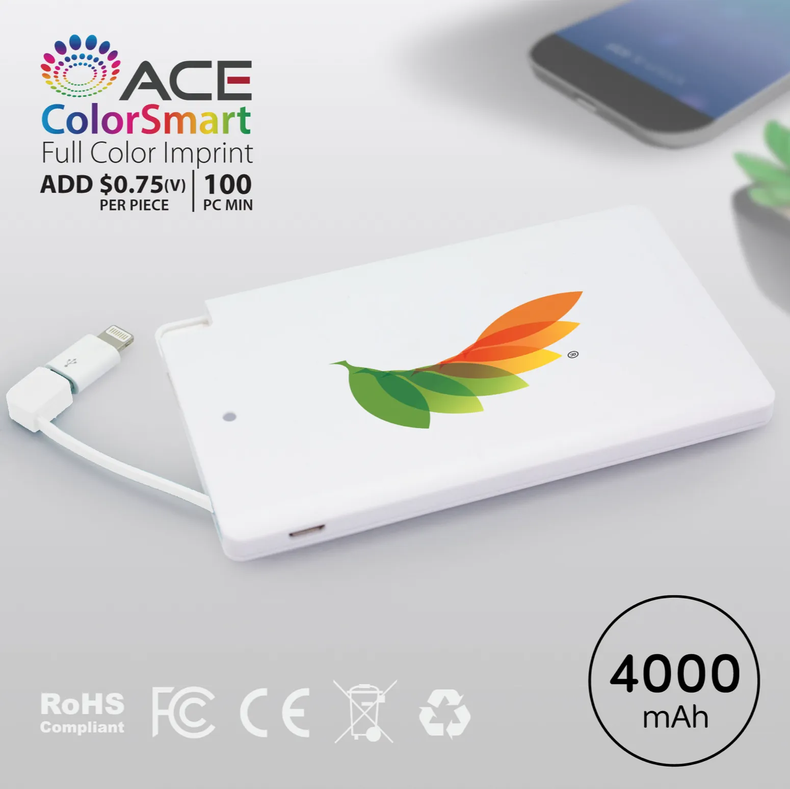 Dartmouth - 4000 mAh SLIM PORTABLE POWER BANK WITH CABLE 2