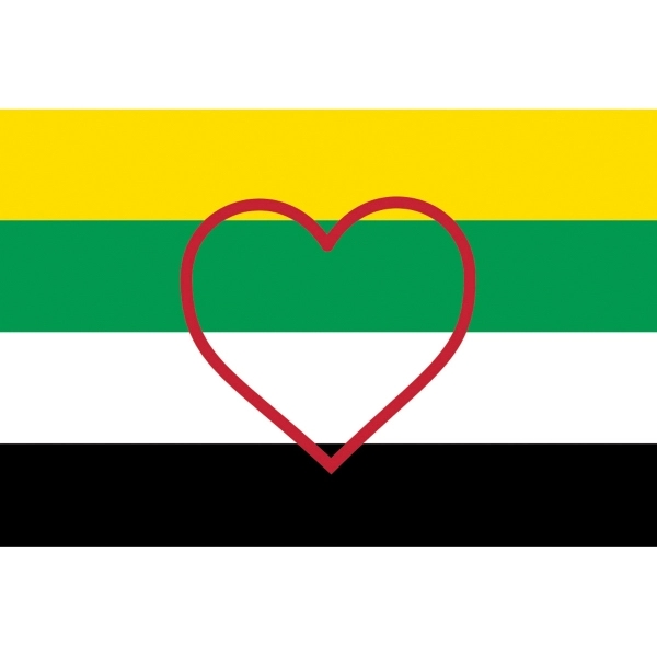 Skoliosexual Deluxe Flag 2