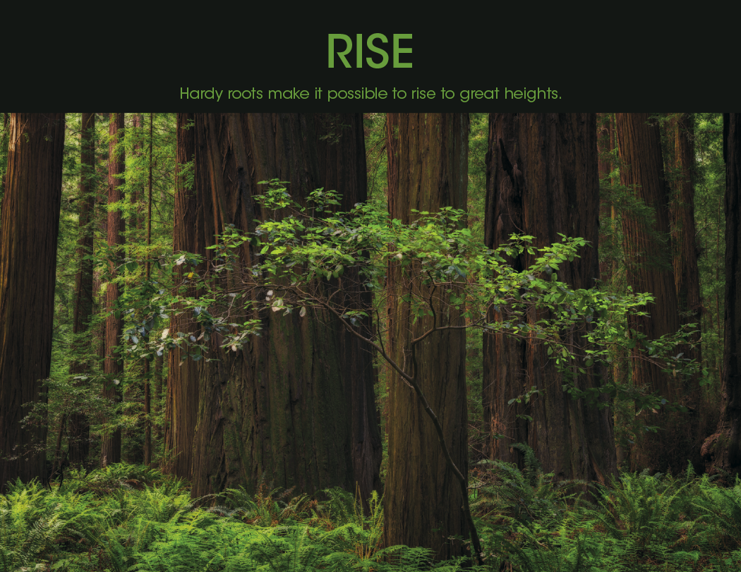 Good Value™ Motivations - Spiral Calendar 42