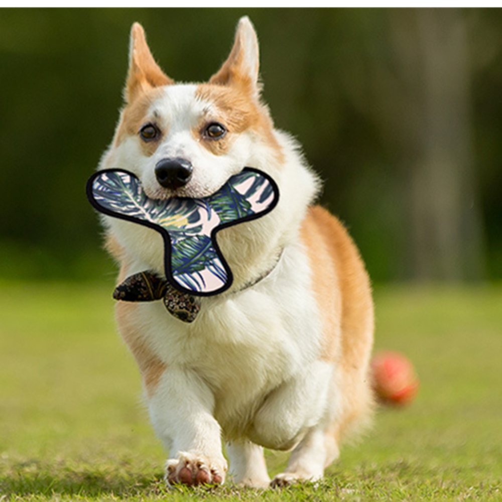 Neoprene Dog Playing Disc 6