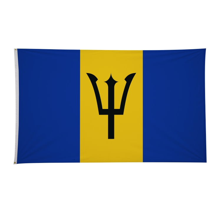 6' x 10' International Flags 120