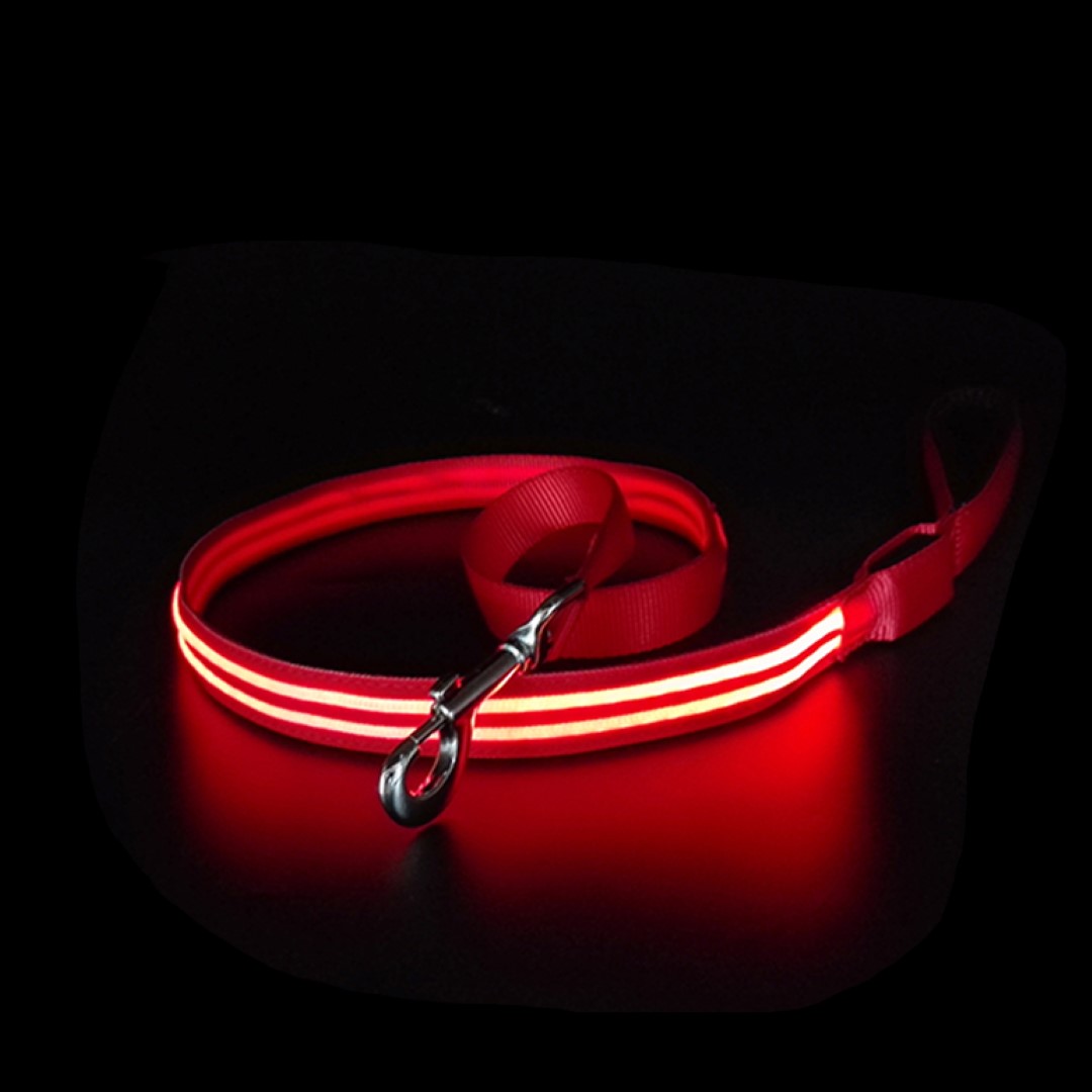 Dog Leash 1