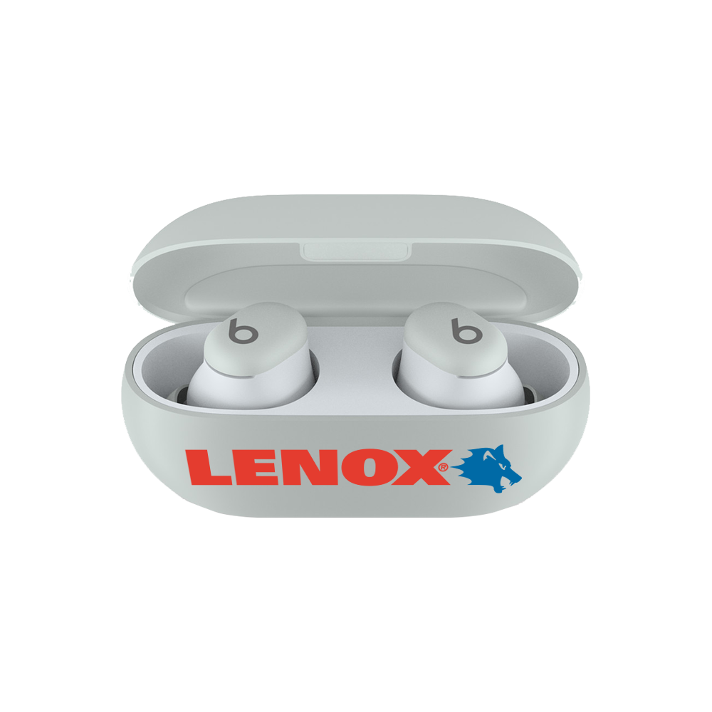 Custom Beats by Dr. Dre Solo Buds 29