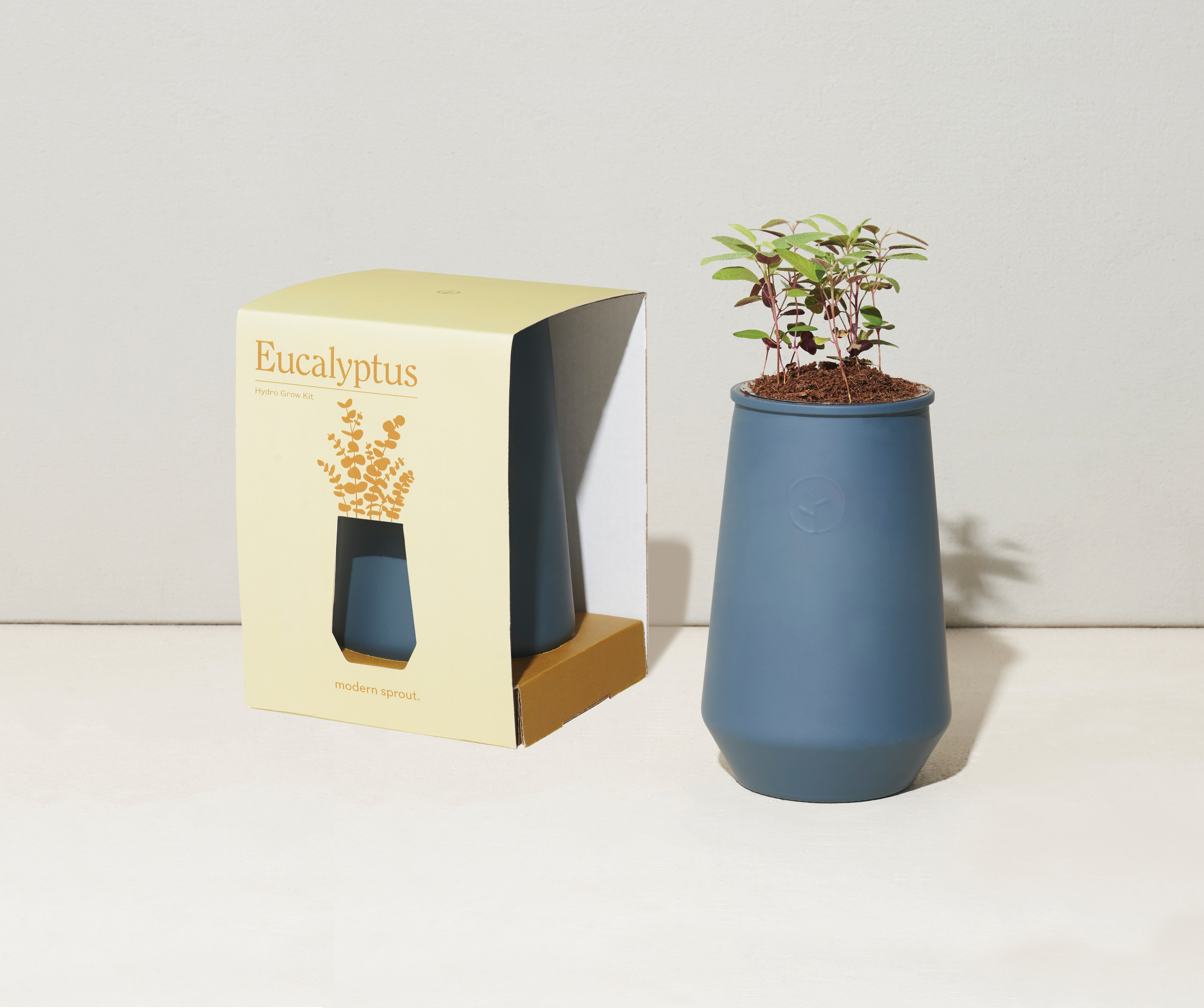 Modern Sprout® Tapered Tumbler Grow Kit 2