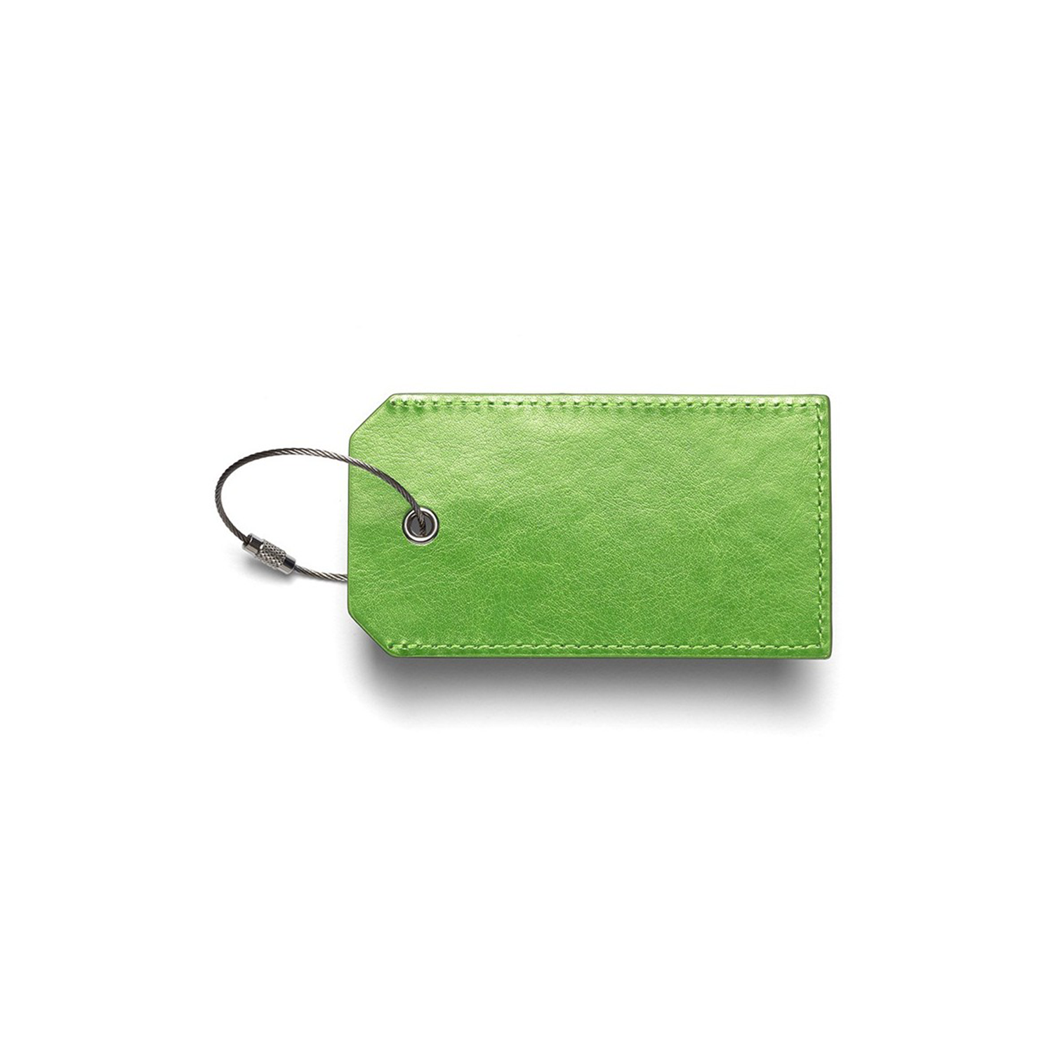 Sightseeing Luggage Tag 4