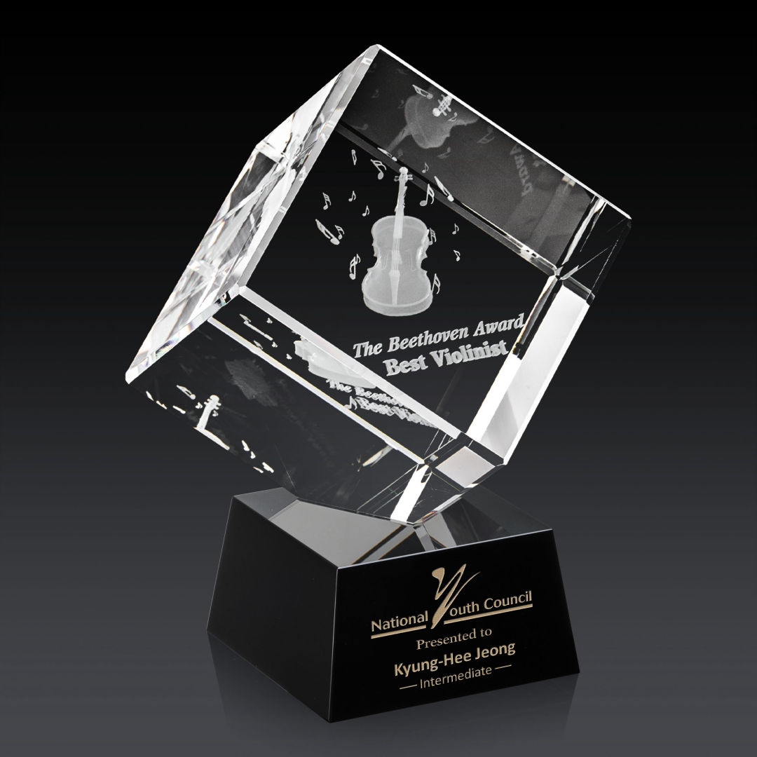 Burrill 3D Award on Robson Base - Black 2
