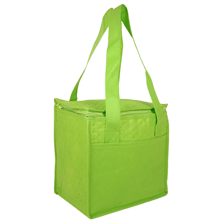Denali Insulated Convenient Cooler 2