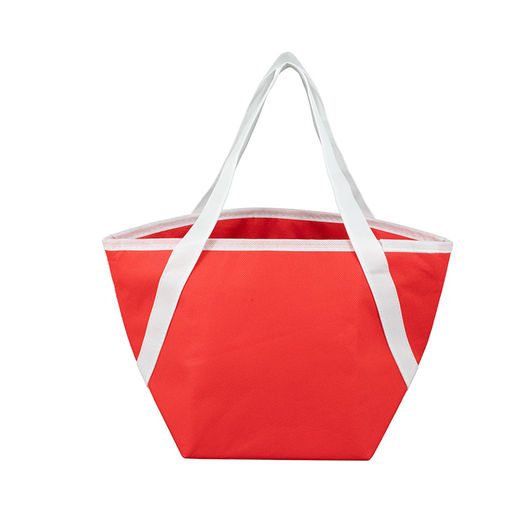 "THE HORIZON" Zipper Cooler Tote 6-Pack Size 20